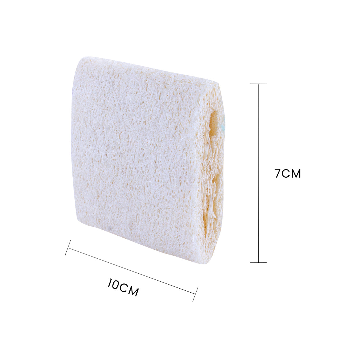 3 Pcs Natural Scouring Pad