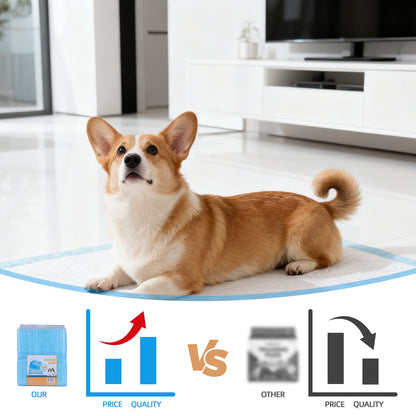 400 Pcs Dog Absorbent Training Pad 60 x 60 cm