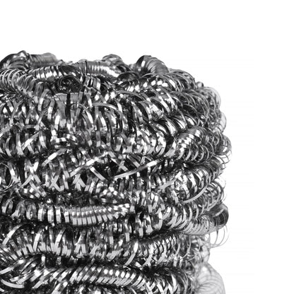 6 Pcs STAINLESS STEEL SCOURERS
