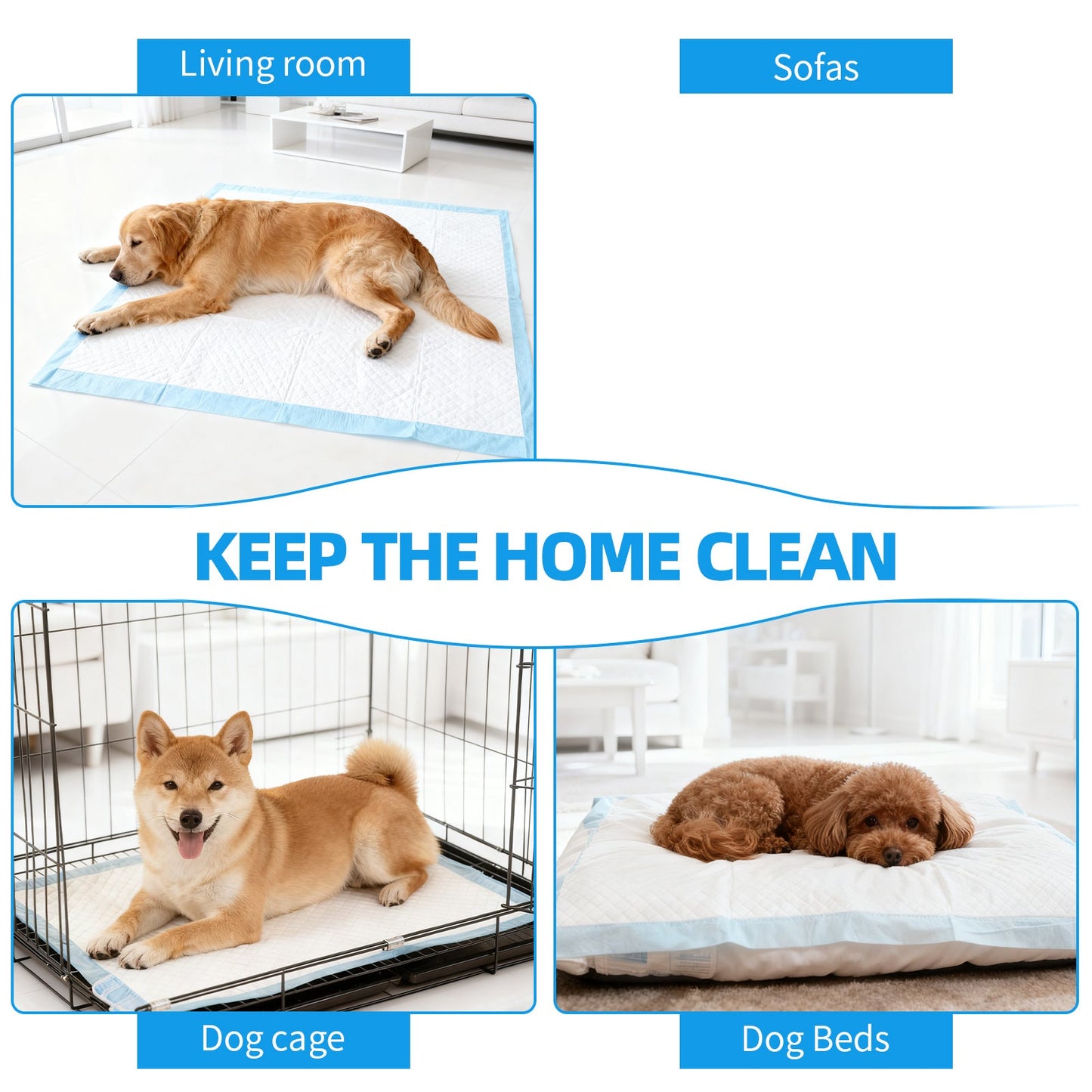 200 Pcs Dog Absorbent Training Pads – 60 × 60 cm Ultra-Absorbent, Leak-Proof Puppy & Pet Training Mats