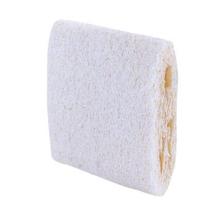 3 Pcs Natural Scouring Pad