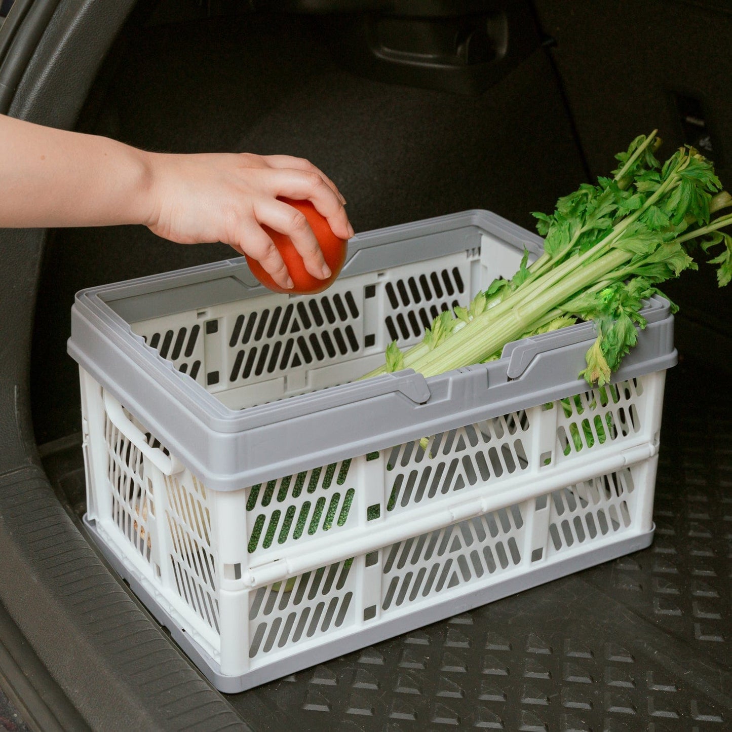 Livingtoday Collapsible Shopping Basket with Handle Medium - 19L