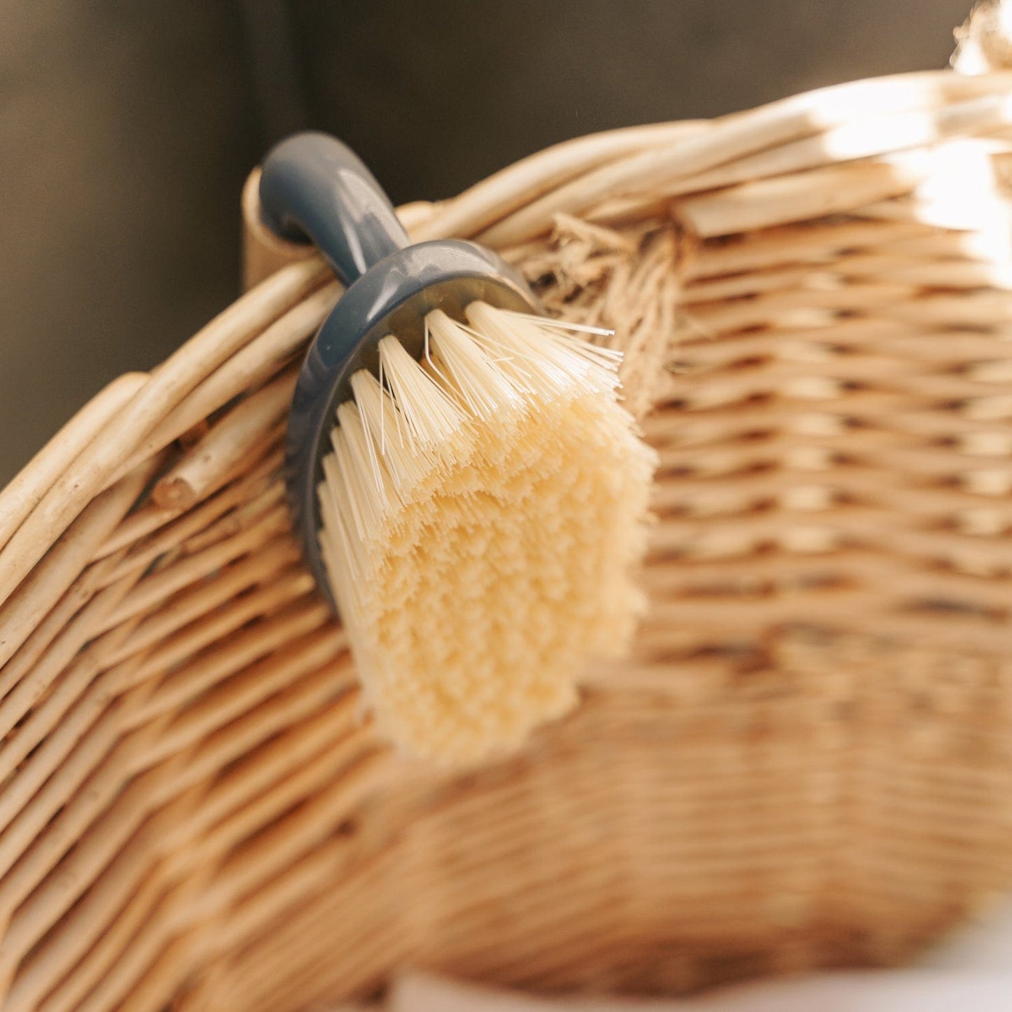 Bamboo Handle Iron Household Scrubber Brush