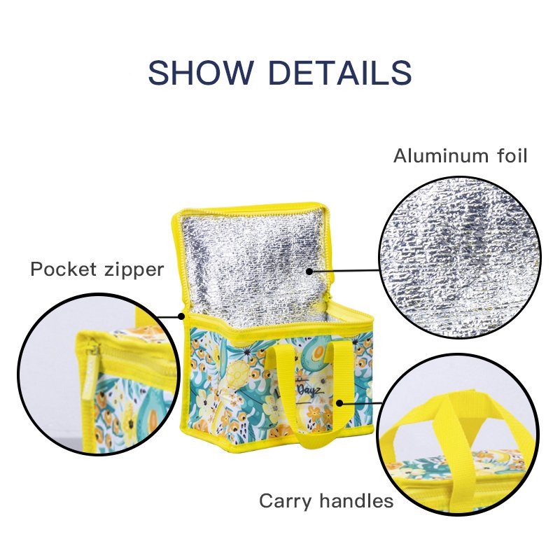 Food Safe Insulated Kids Lunch Box Cooler - Tamara
