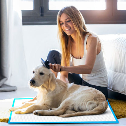 200 Pcs Dog Absorbent Training Pads – 60 × 60 cm Ultra-Absorbent, Leak-Proof Puppy & Pet Training Mats