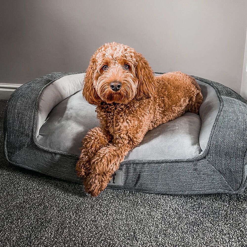 Plush Orthopedic Pet Sofa Bed with Bolstered Edges – Ultra-Soft Sponge Filled Luxury Dog and Cat Couch, Waterproof Inner Liner & Removable Washable Cover for Medium-Sized Pets Up to 35kg (Pink)