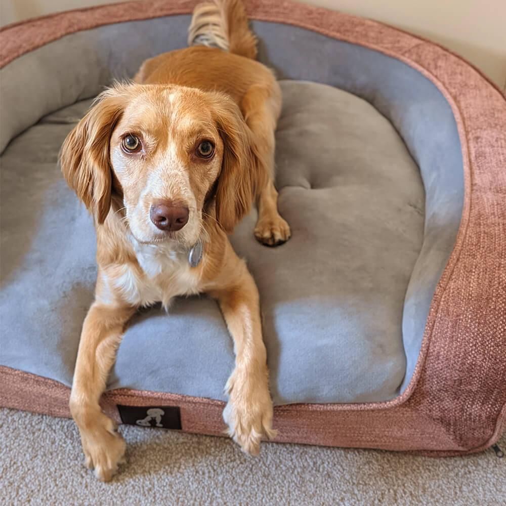 Plush Orthopedic Pet Sofa Bed with Bolstered Edges – Ultra-Soft Sponge Filled Luxury Dog and Cat Couch, Waterproof Inner Liner & Removable Washable Cover for Medium-Sized Pets Up to 35kg (Pink)