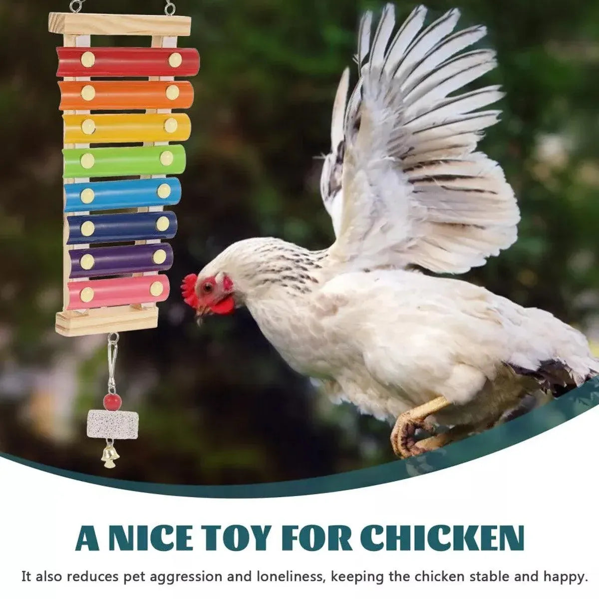 Chicken Activity Toy Set with Swing, Ladder and Xylophone - 5 Pieces