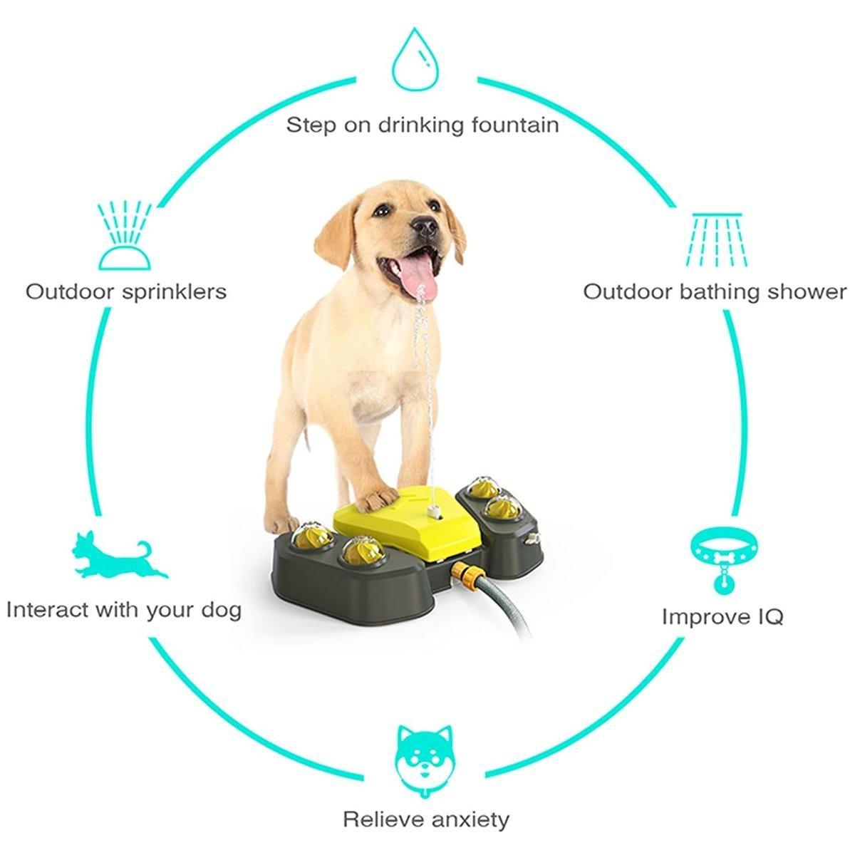 Automatic Water Feeder Dispenser with Bath Spray and Footstep Dog Toys for Pets - Grey