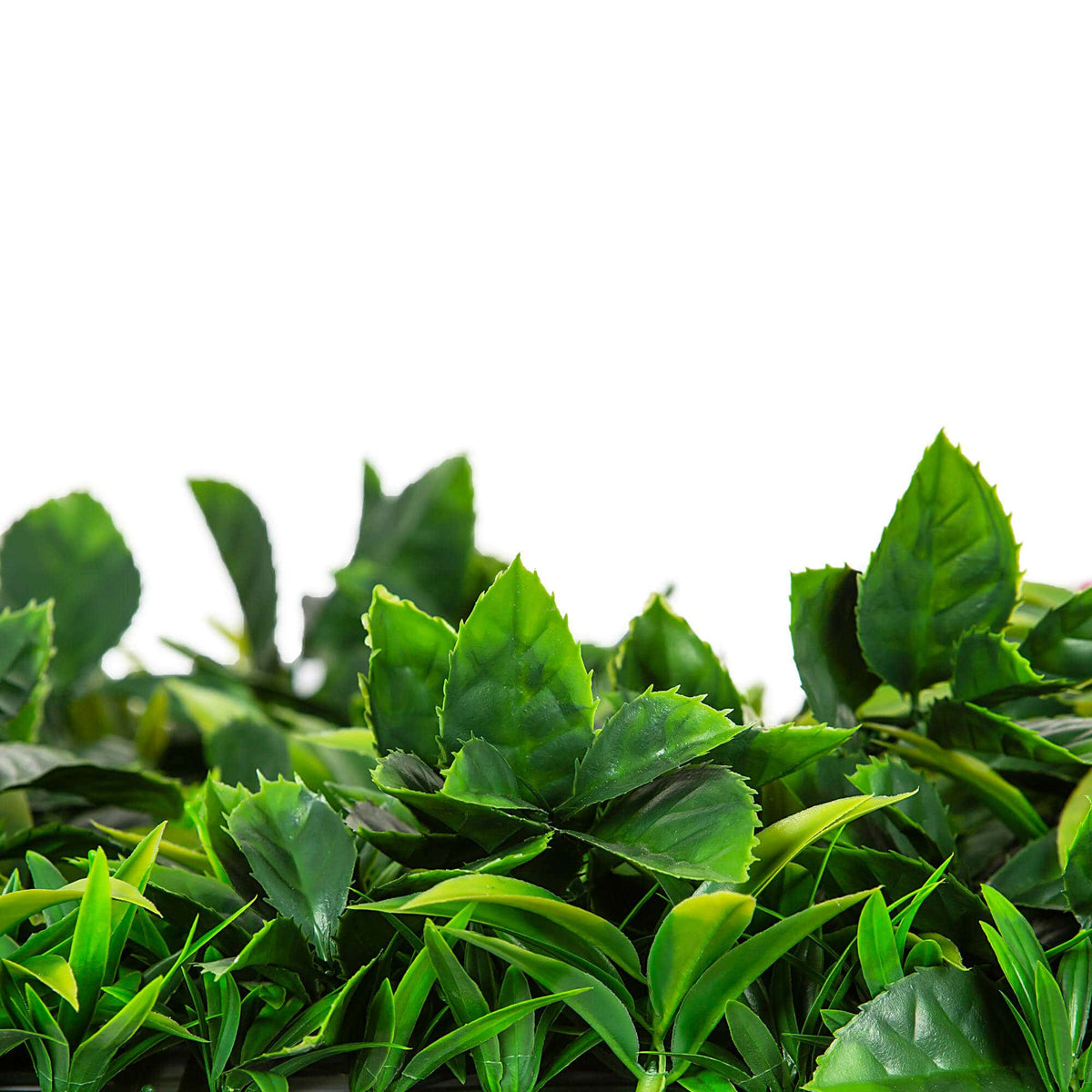 Coastal Greenery UV Stabilised Vertical Garden Wall SAMPLE