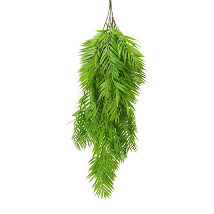 Hanging Basket, Ferns, and Small Potted Plant Bundle