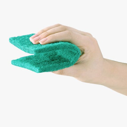 10 Pcs Kitchen Souring Pads
